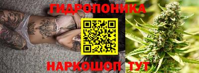 a pvp Аша