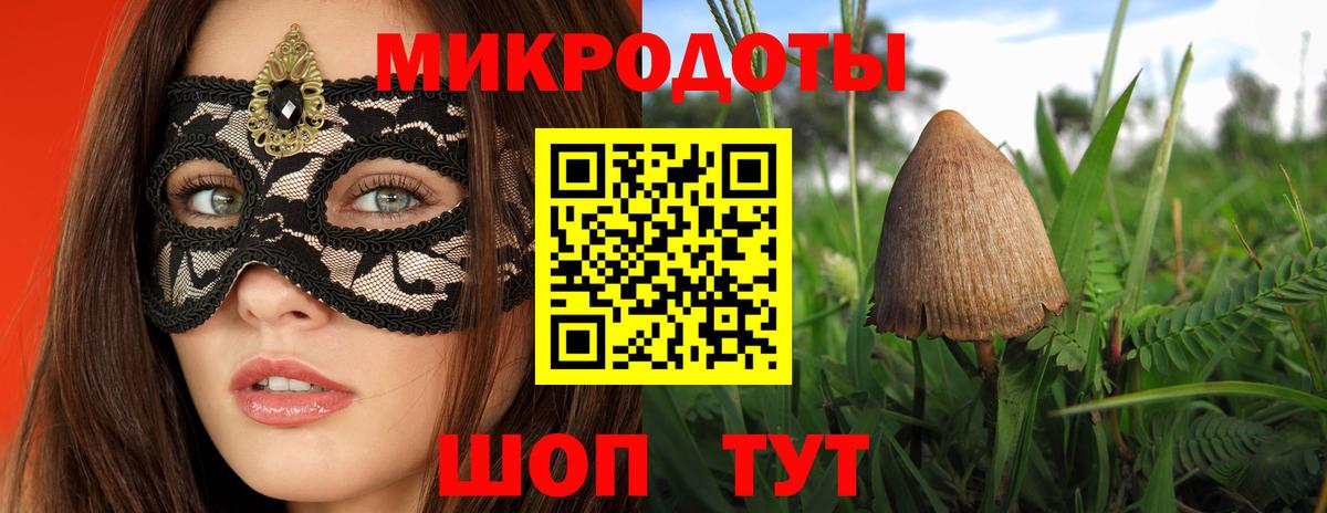 Галлюциногенные грибы прущие грибы Зеленогорск
