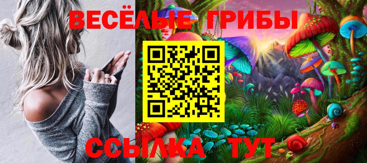 Псилоцибиновые грибы прущие грибы  Вход с VPN  Зеленогорск  Галлюциногенные грибы Psilocybe 